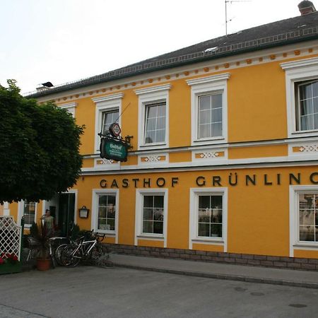 Gasthof Gruenling Wallsee Esterno foto