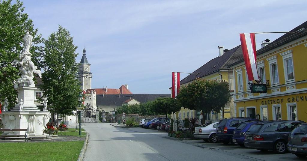 Gasthof Gruenling Wallsee Esterno foto